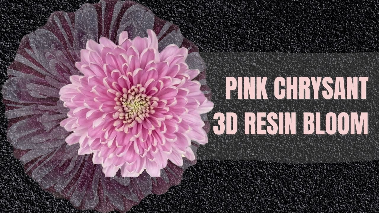 Pink Chrysant 3D RESIN FLOWER BLOOM Tutorial