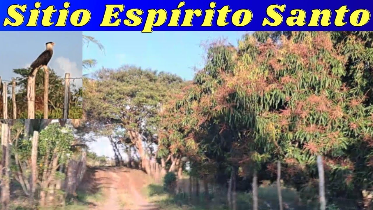 Sítio Espírito Santo - Vitória de Santo Antão