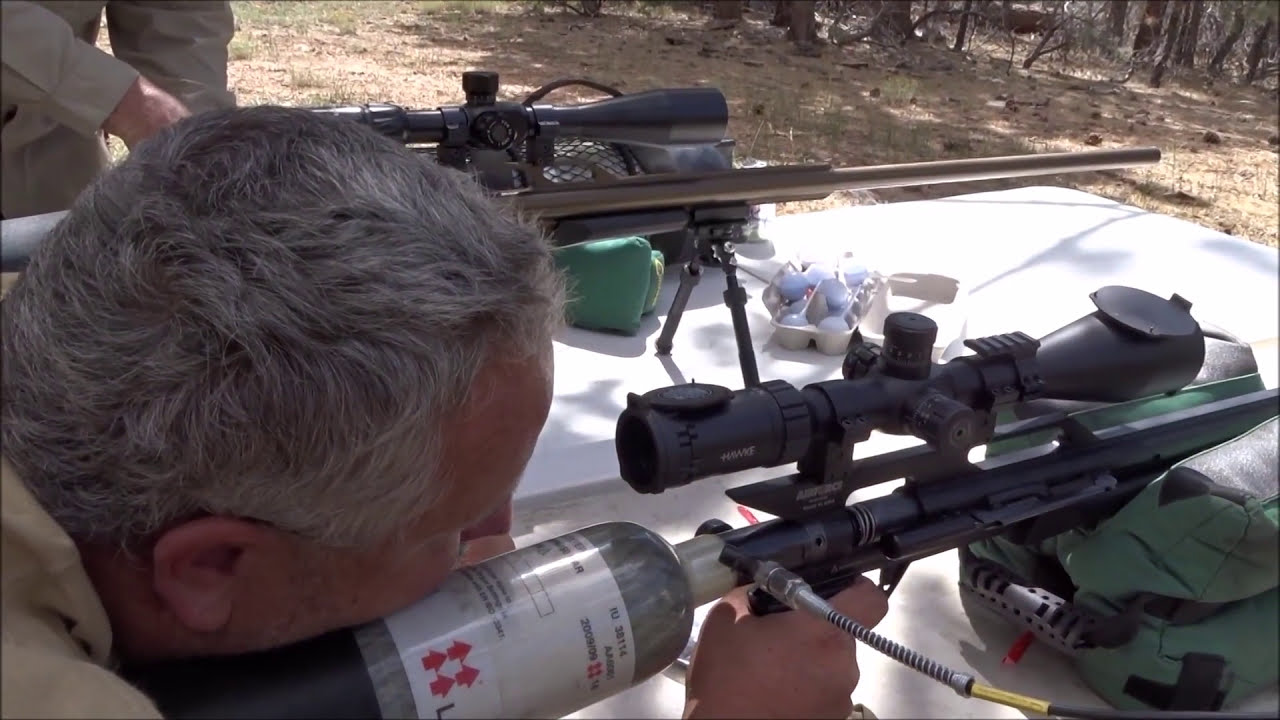 Ballistic Gel  .457 Texan Airgun