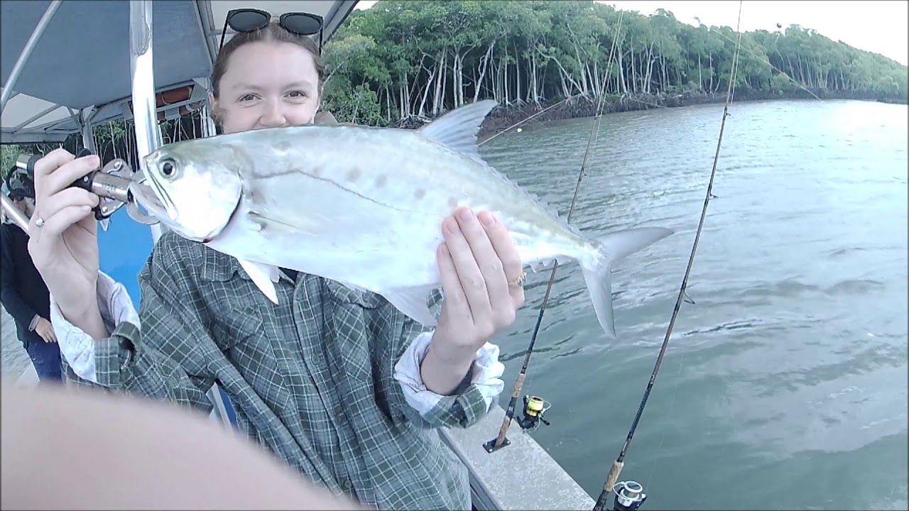 Live Bait Fishing - Cairns City Inlet