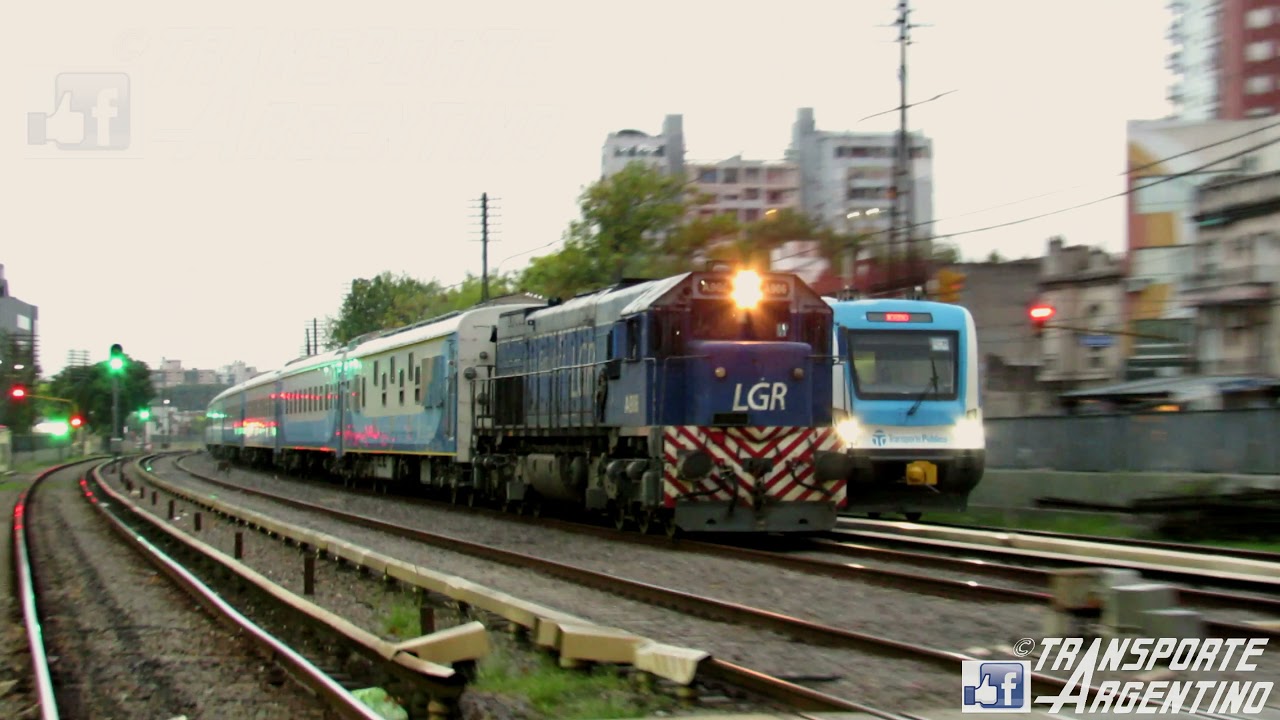 CARRERA DE TRENES!!!! - 