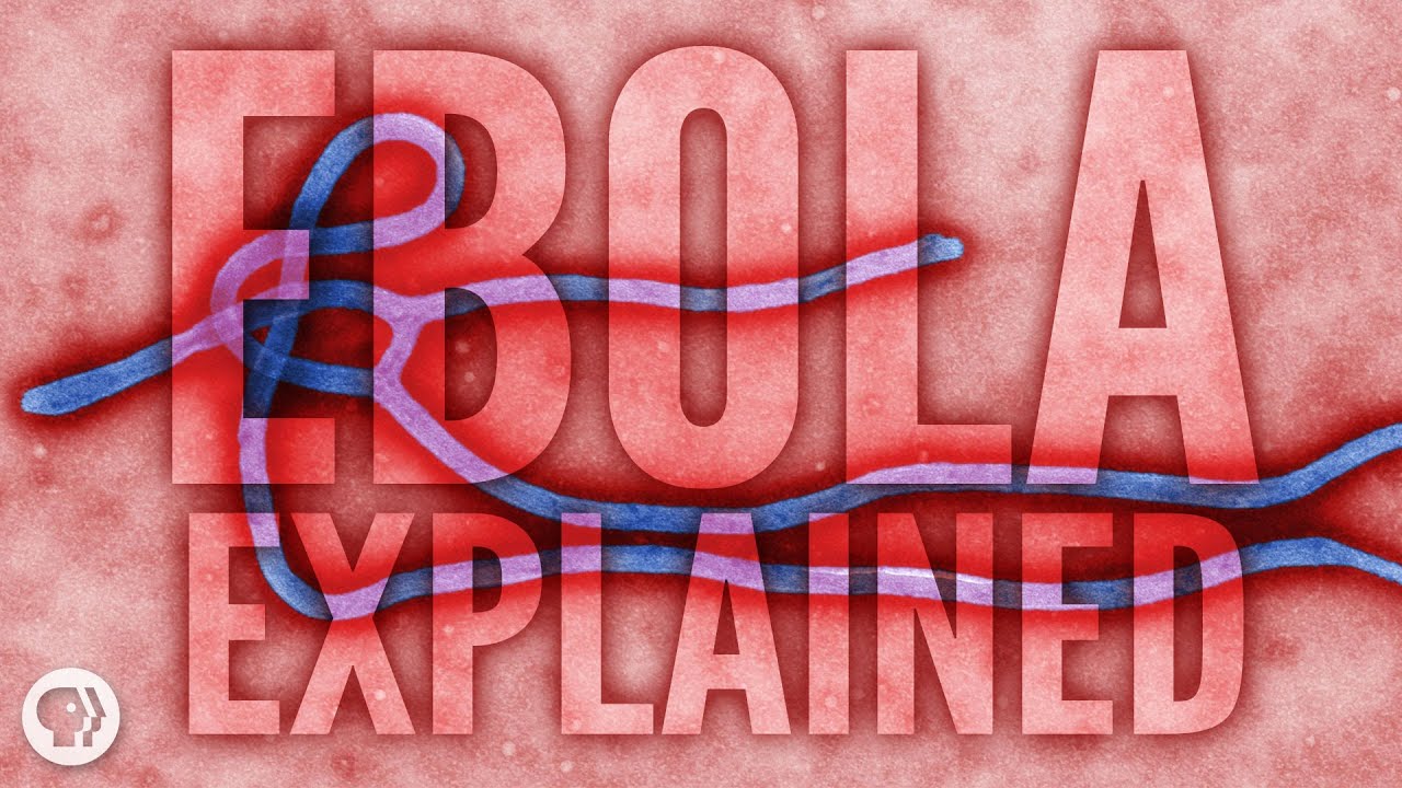 Ebola Explained