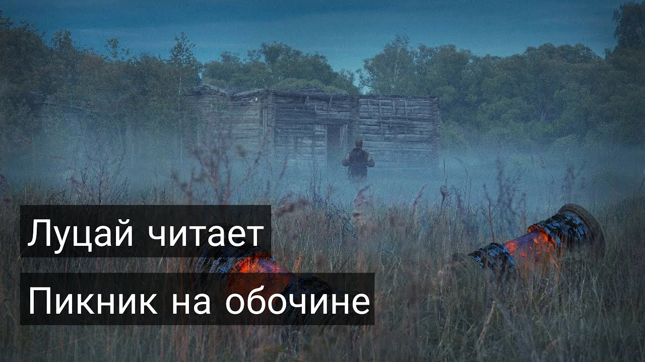 Луцай читает «Пикник на обочине»