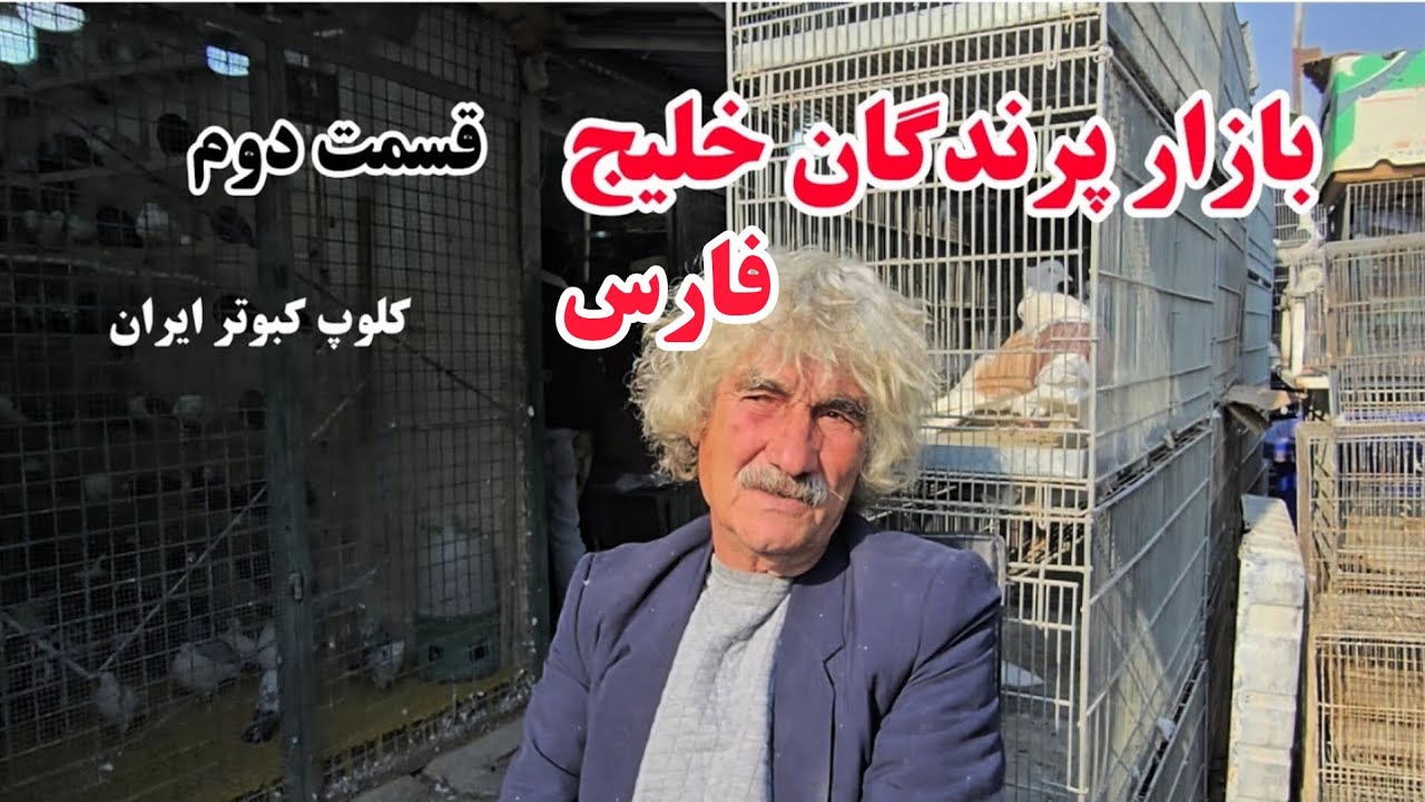 ❤️گزارش شماره ۲ 