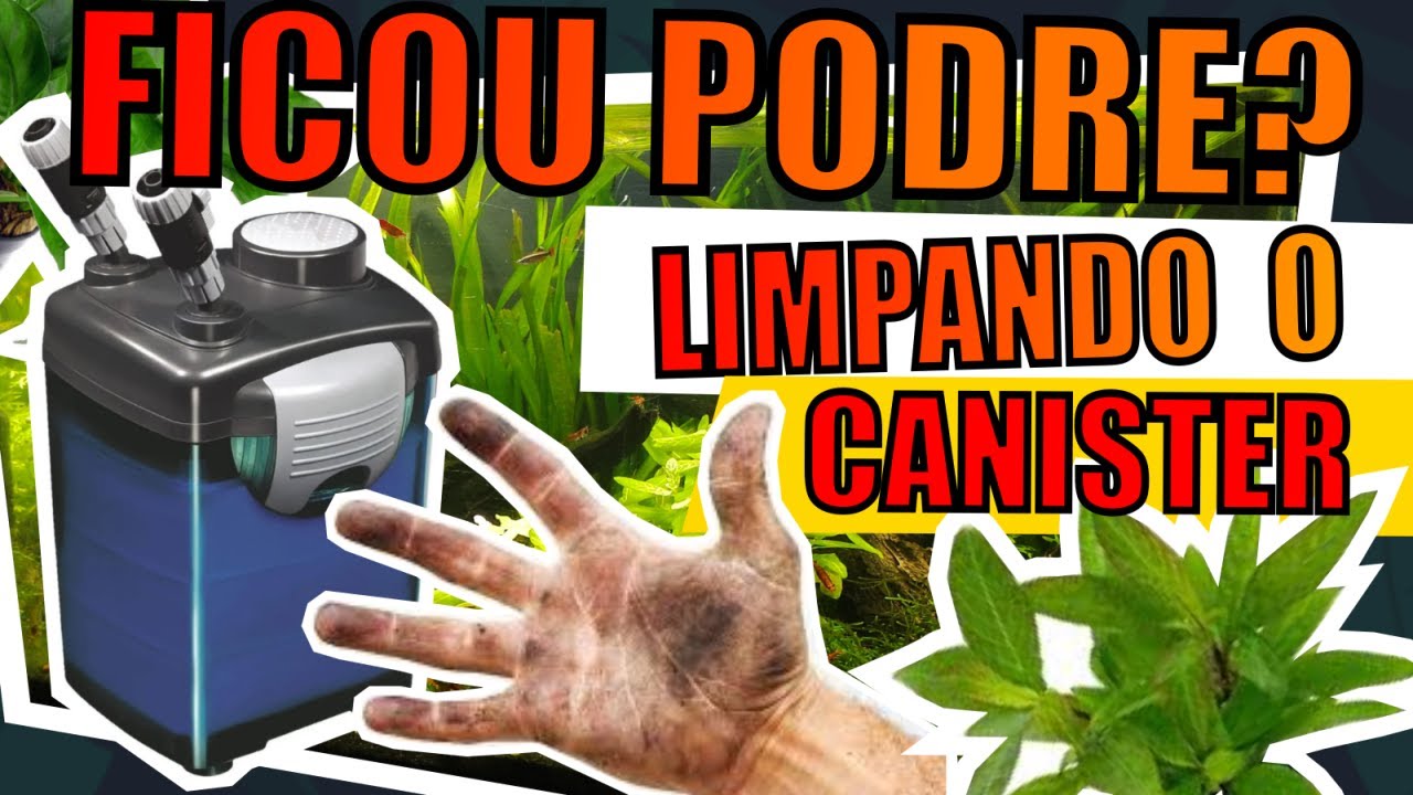 🔴COMO LIMPAR O FILTRO CANISTER PARA AQUÁRIOS |Mr. Betta|