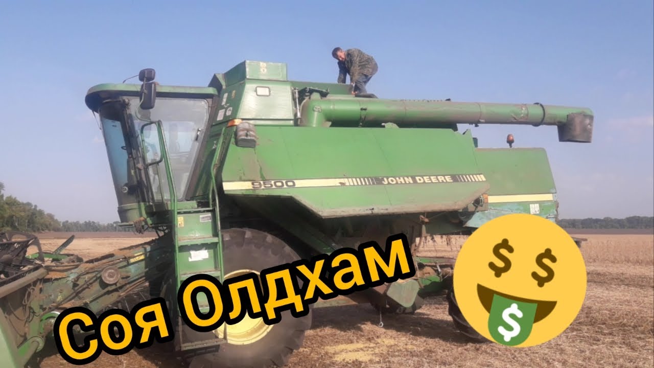 Уборка сої Олдхам за (65000грн/т) 13 вересня