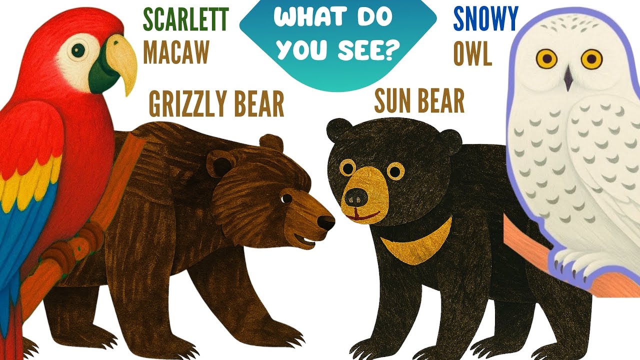 Compilation of Grizzly Bear What Do You See? Sun Bear, Snowy Owl & Scarlett Macaw | Animal Songs