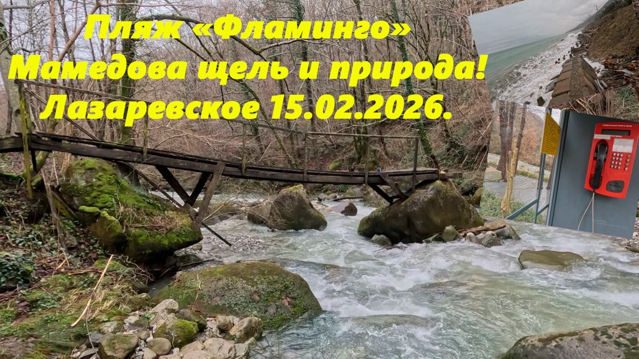 Пляж Фламинго, Мамедова щель и природа! Лазаревское 15.02.26.
