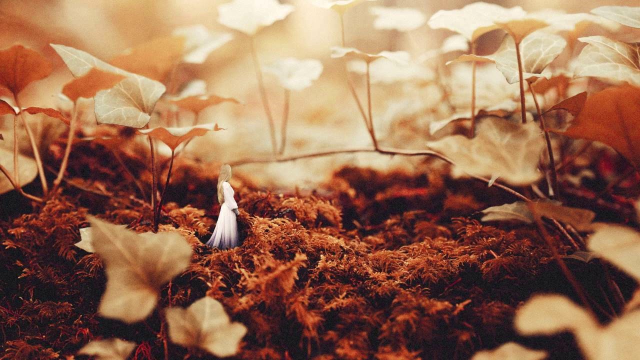Pete Grace Feat. Thomas Gandey - Carried On (Betoko Remix)