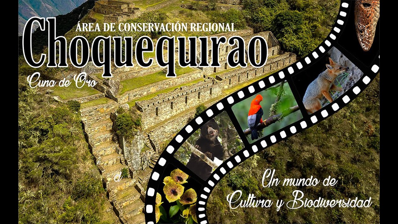 CHOQUEQUIRAO - ÁREA DE CONSERVACIÓN REGIONAL - DOCUMENTAL 2021