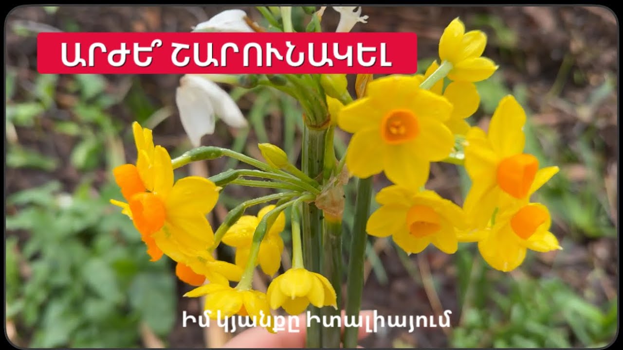 VLOG: ԱՐԺԵ՞ ՇԱՐՈՒՆԱԿԵԼ | Կասկածների և իմ մտքերի մասին | Իմ կյանքը Իտալիայում 🇮🇹