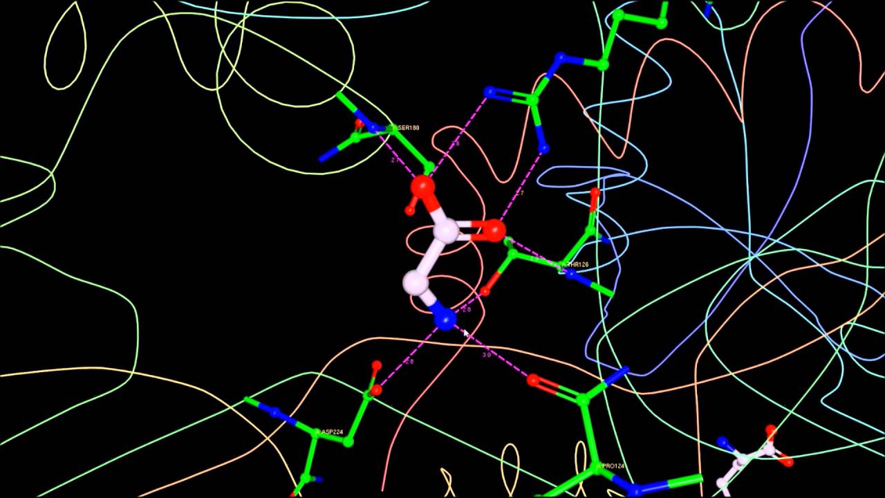 NMDA Receptor