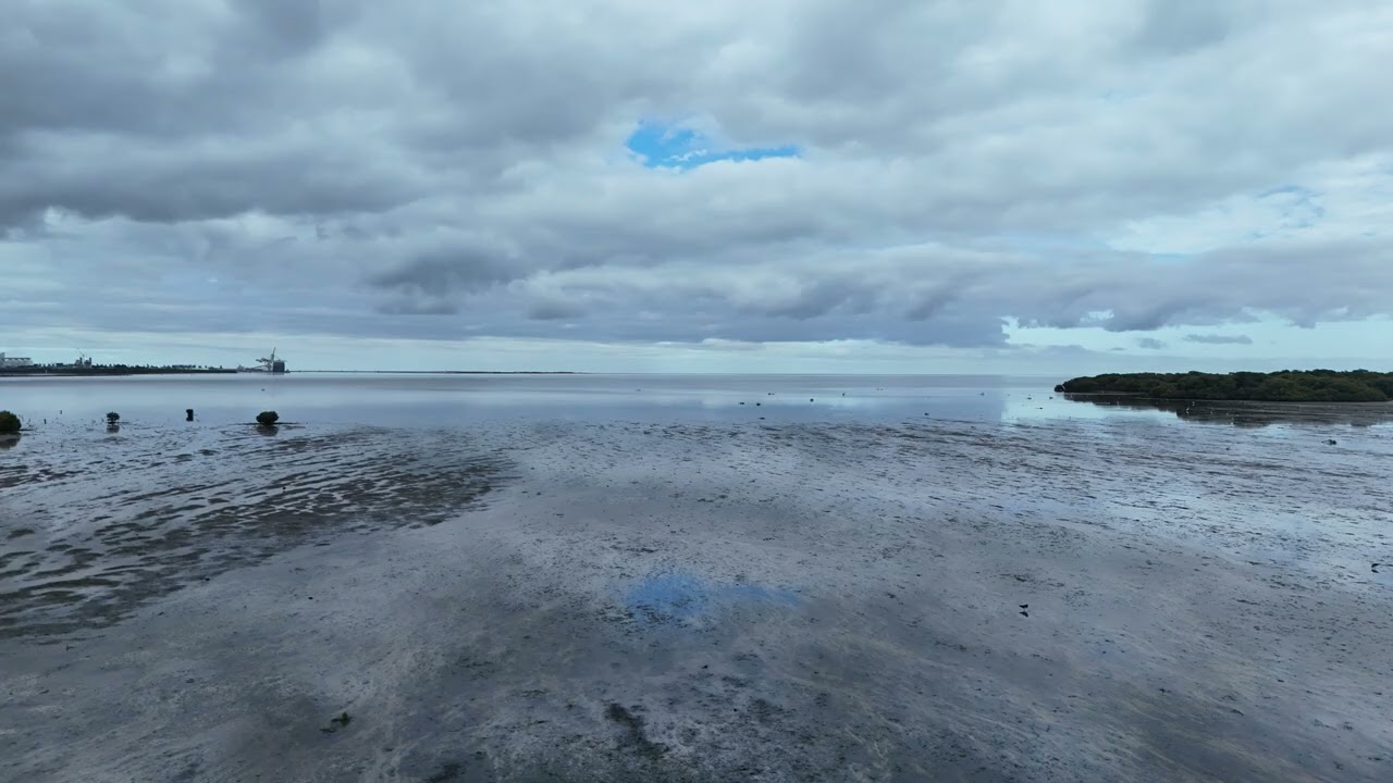 St Kilda 24 10 25