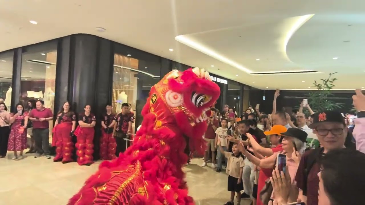 Chatswood Chase Celebrating Lunar Year of the Horse 2026 Lion Dance