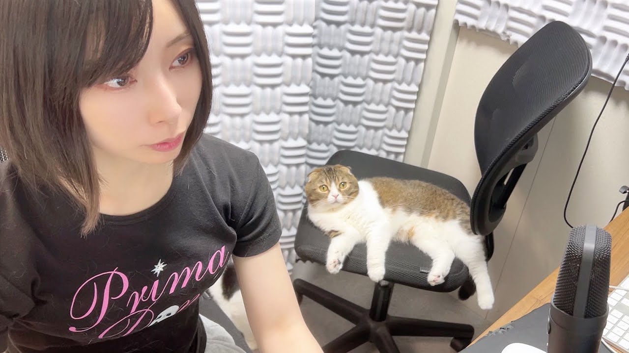 体調不良から回復したらママから片時も離れなくなった甘えん坊猫w