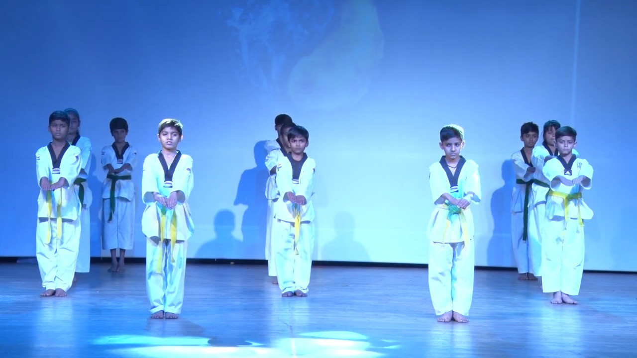 Taekwondo Champions with Energetic Presentation | Annual Function 2018