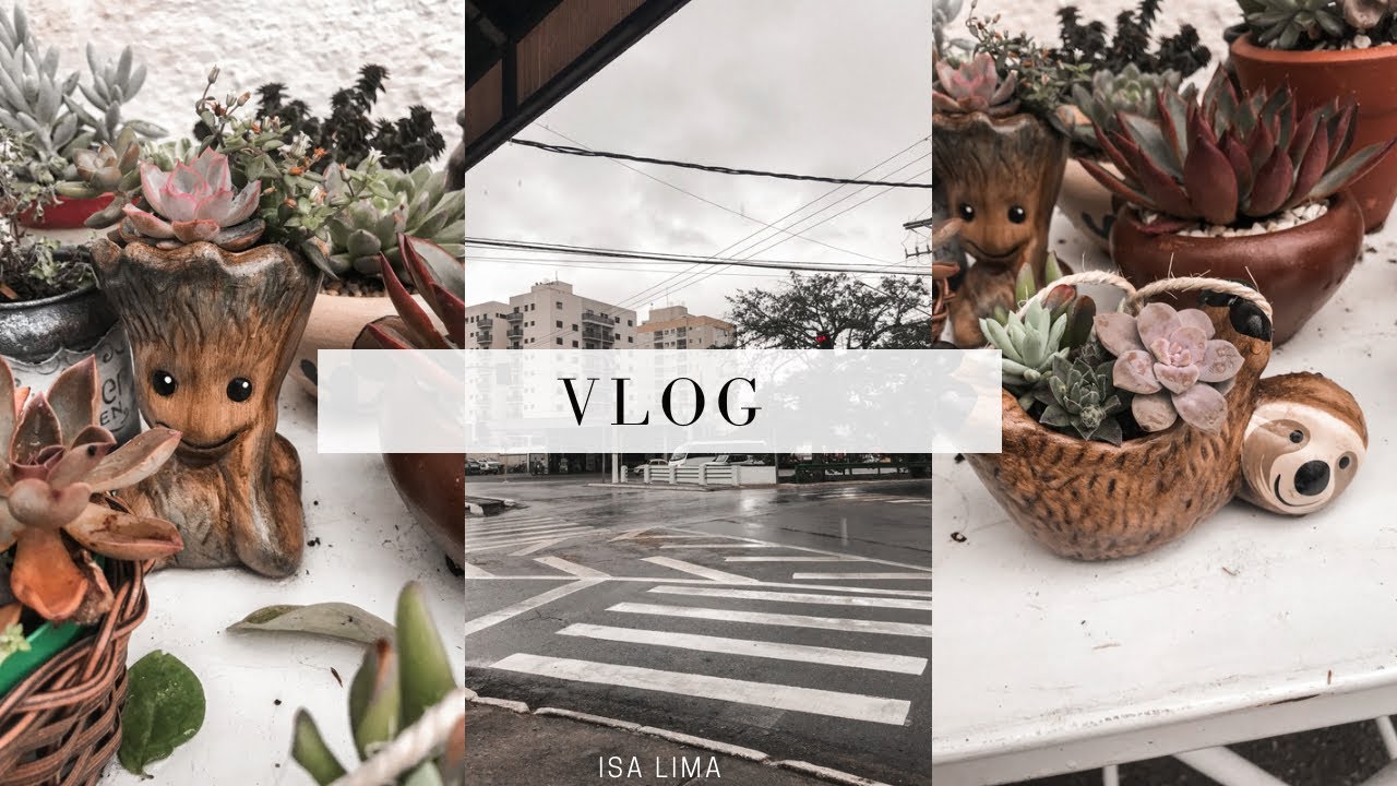 vlog| passei a tarde com a minha amg🧡🪴+ comprinhas da semana 🛒#vlog #comprinhasbaratas #canal
