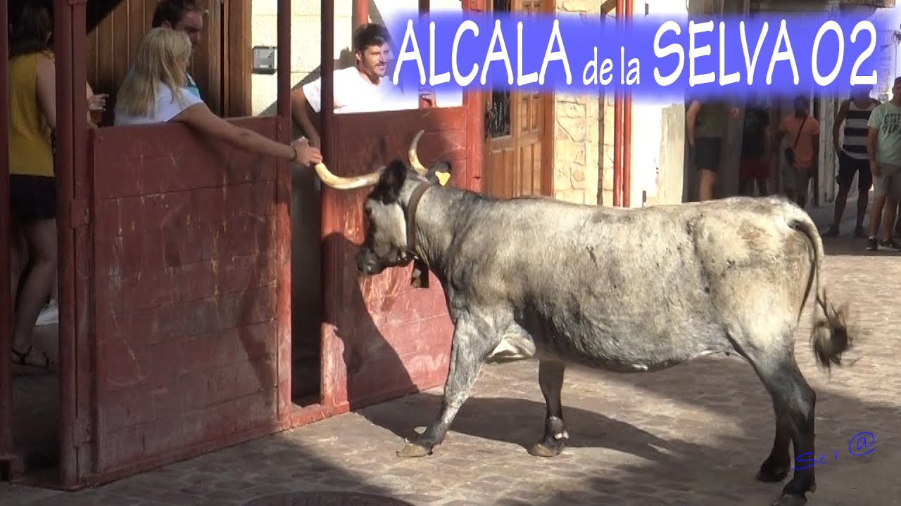 ✅2023 ALCALÁ de la SELVA 02  RUBIA VALIENTE