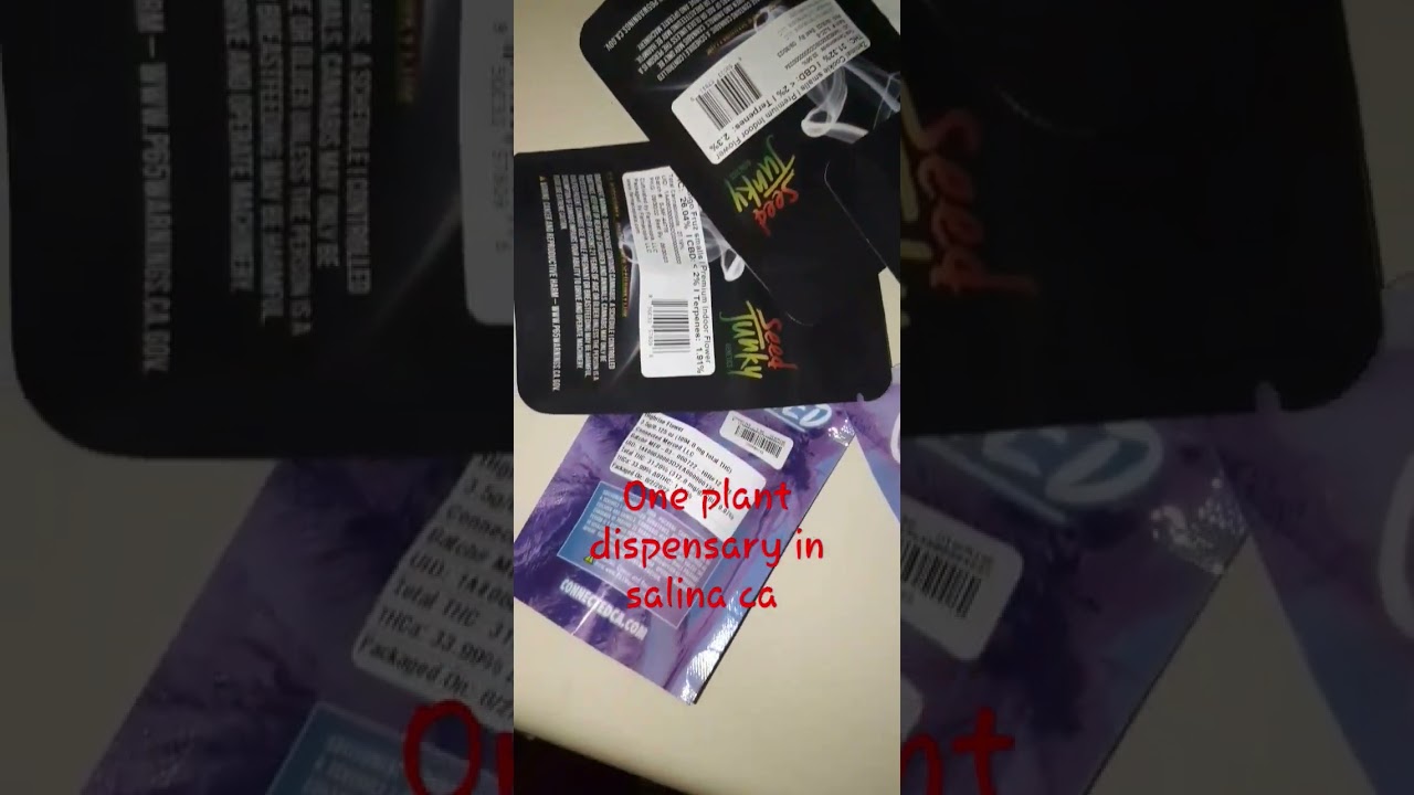 strain review/ one plant dispensary