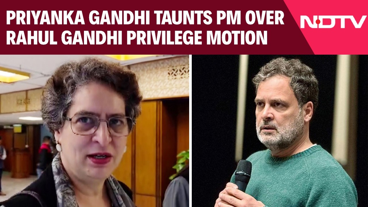 Congress Vs BJP | 'Macho Man': Priyanka Gandhi Taunts PM Modi Over Rahul Gandhi Privilege Motion