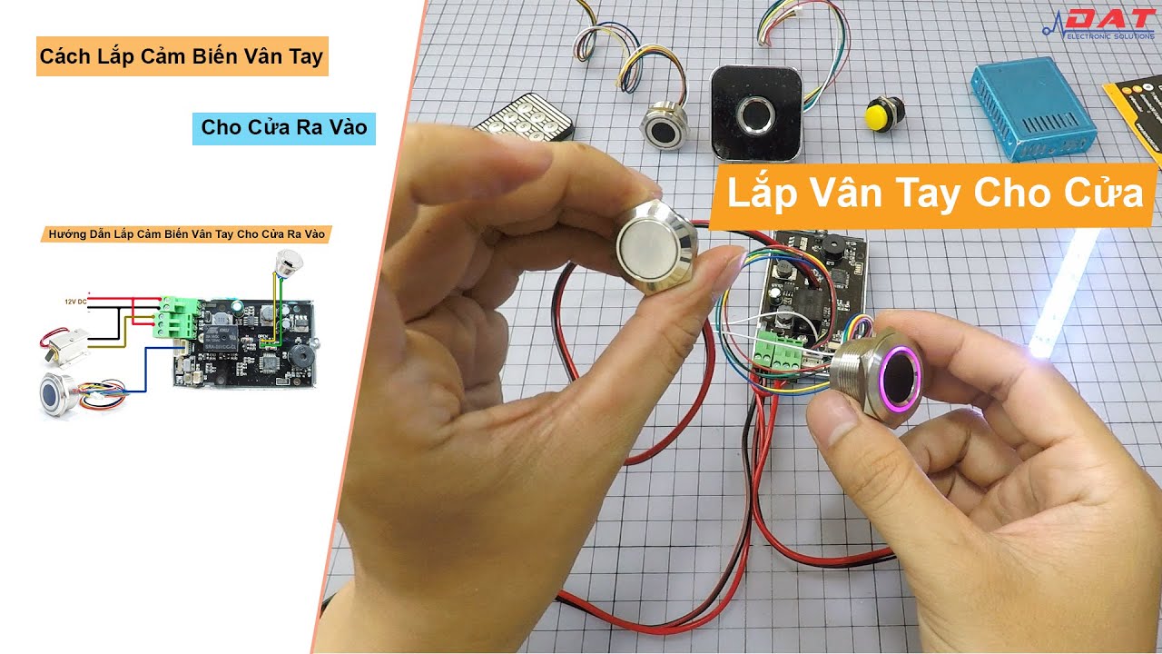 Cách Lắp Cảm Biến Vân Tay Cho Cửa Ra Vào | Điện tử DAT