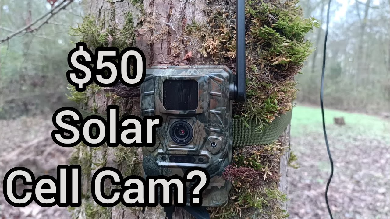 Budget Amazon Cellular Trail Camera Review