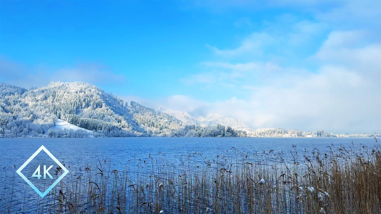 8-часовой зимний отдых на природе у озера. ❄️ Ветреная атмосфера на берегу озера для сна.