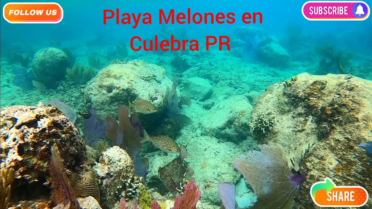 Playa Melones, Culebra PR Super Impresionante para Snorkeling.