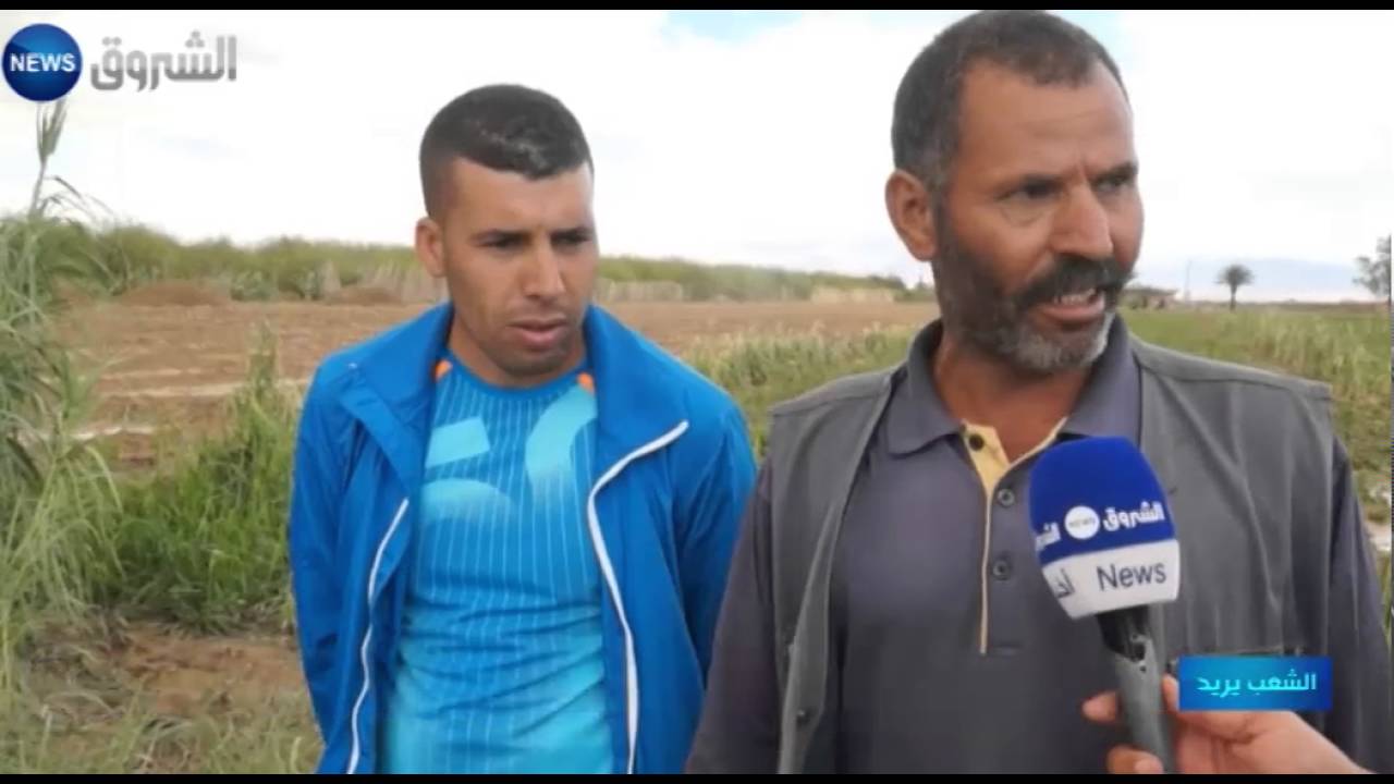 المسيلة: انشغالات فلاحى بلدية السوامع