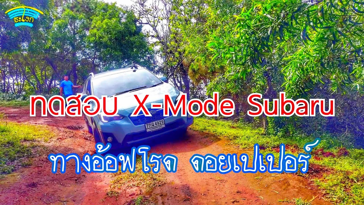 ผืนป่าตะวันตก EP11 เส้นทางอ้อฟโรดไปหน่วยจัดการต้นน้ำดอยเปเปอร์ ทดสอบ X-Mode SUBARUสรุปสมรรถนะซูบารุ