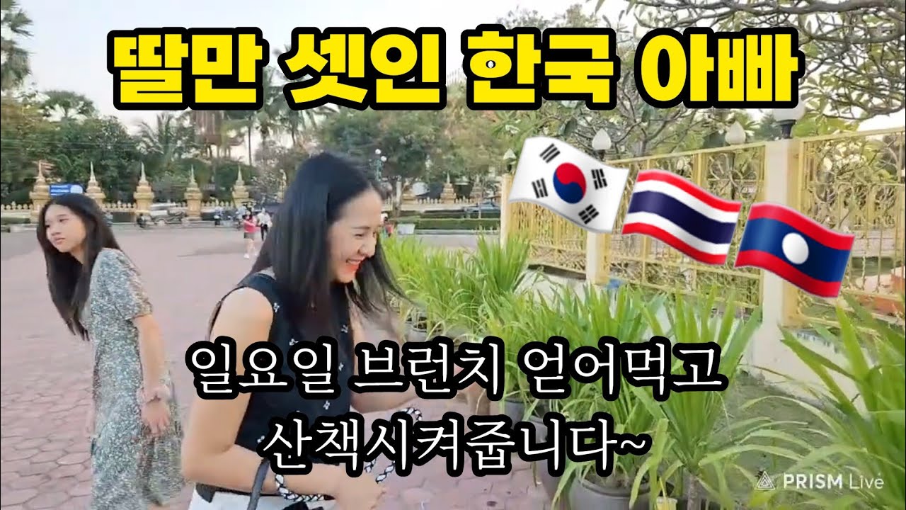 라오스에 살고 있는 딸만 셋인 한국 아빠... 부인은 어디 있냐고요?  산책하랴 방송하랴 힘들지 말입니다. | 라오스한태가족 주말 일상 | 라이브편집본