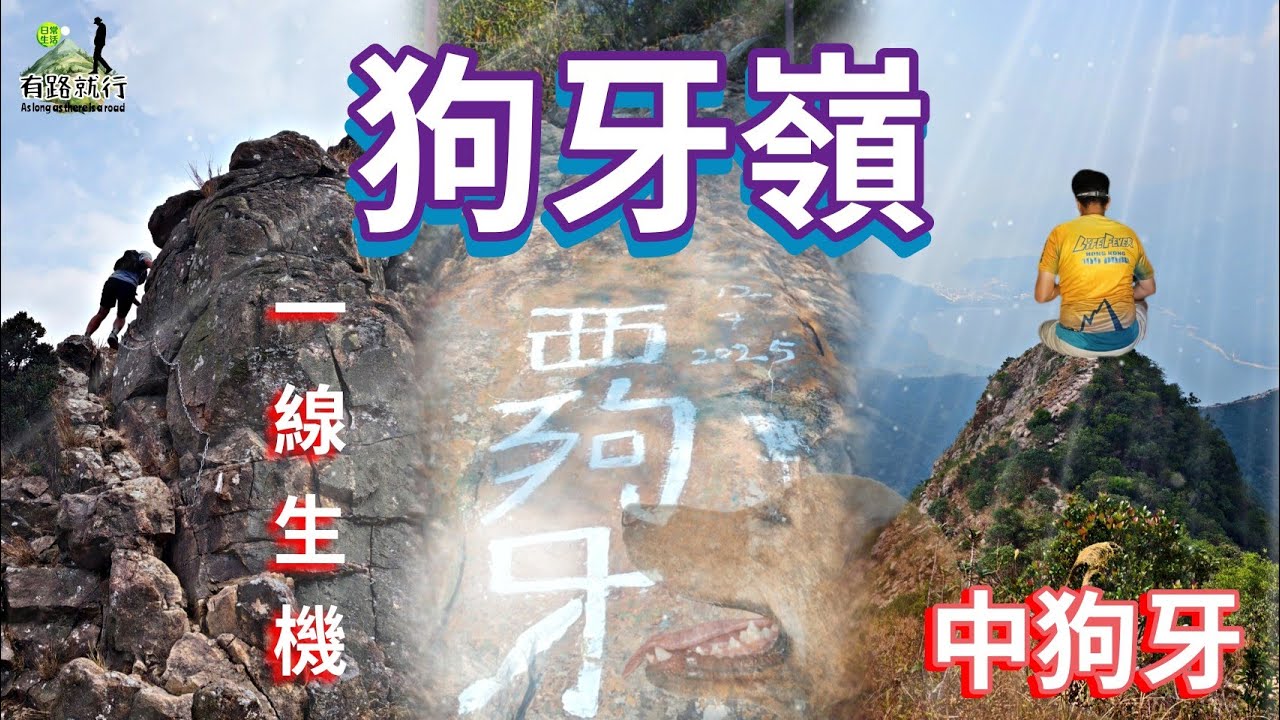 西狗牙|狗牙嶺|中狗牙|一線生機|去打香港百登