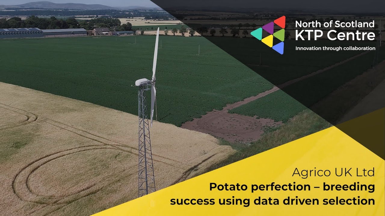 KTP Series | Agrico UK & Abertay: Potato Perfection - breeding success using data driven selection