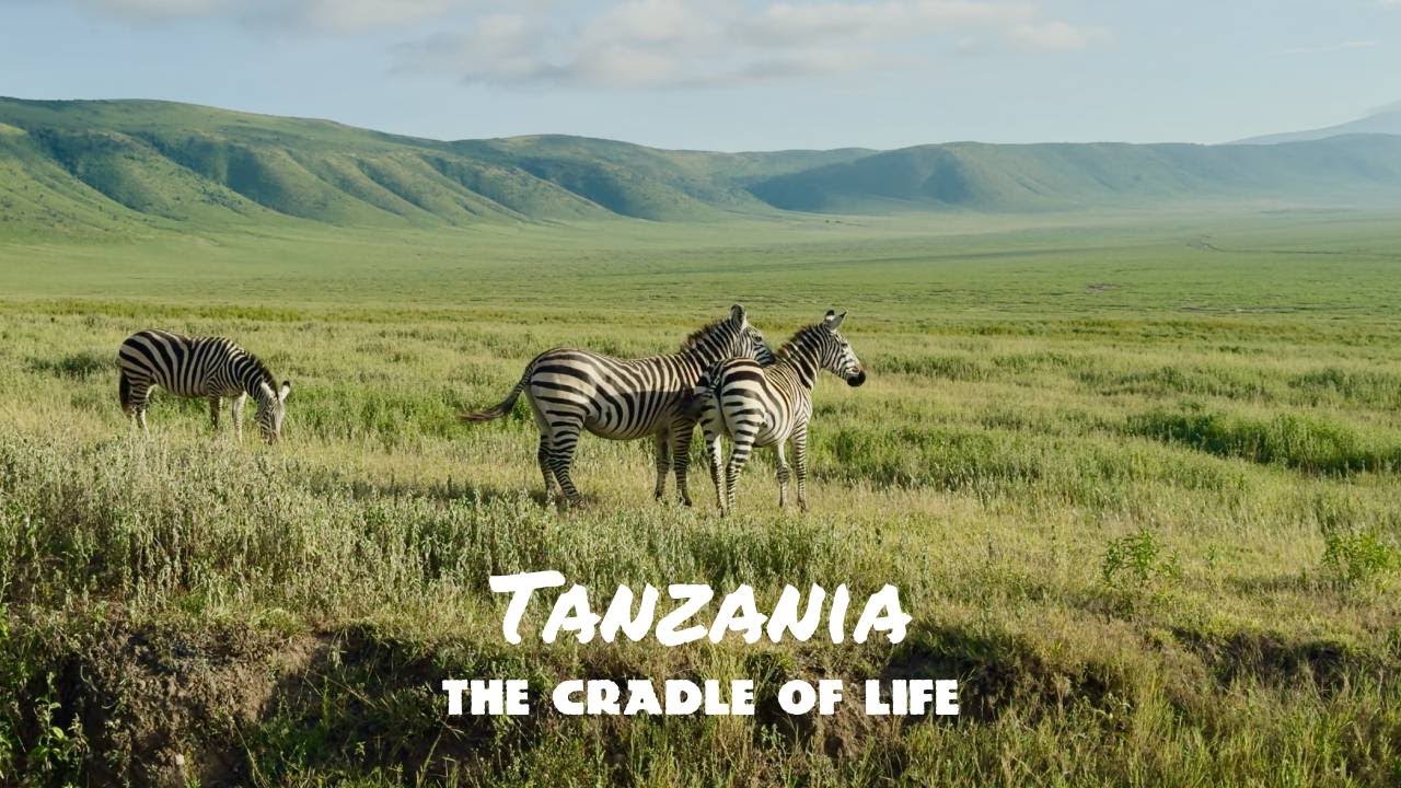 Tanzania : The cradle of life [4K]