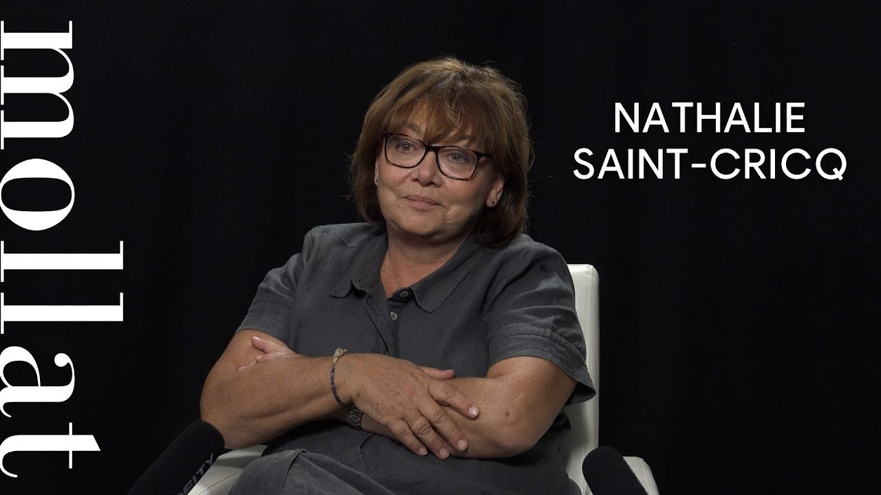 Nathalie Saint-Cricq - L'ombre d'un traitre