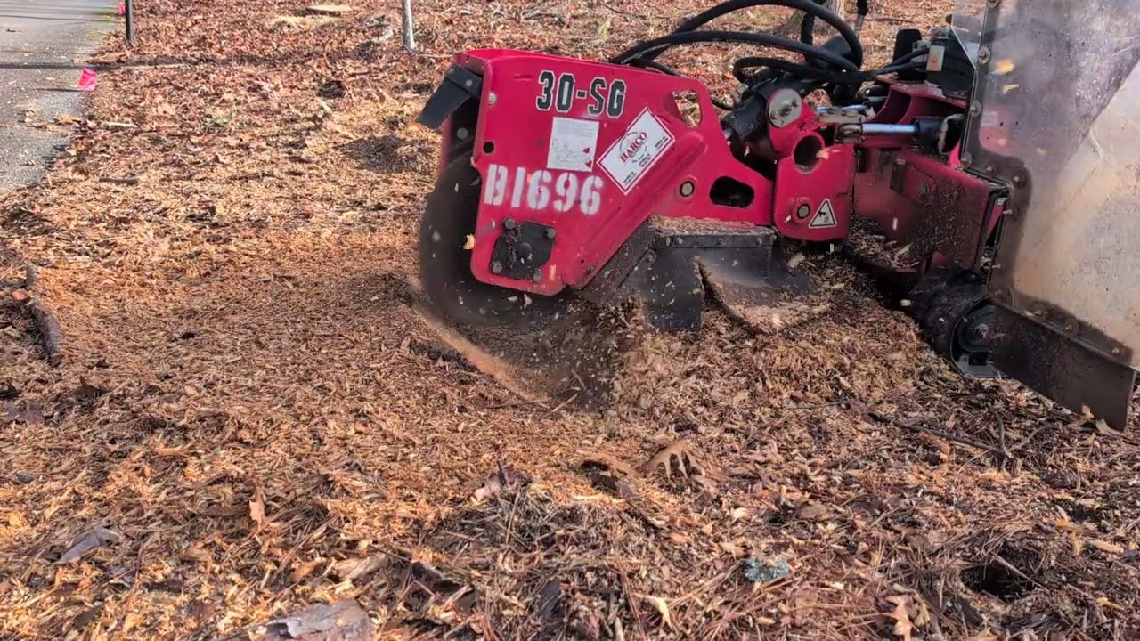 Barreto 30-SG Eats 20 inch Stump in Just 6 Minutes