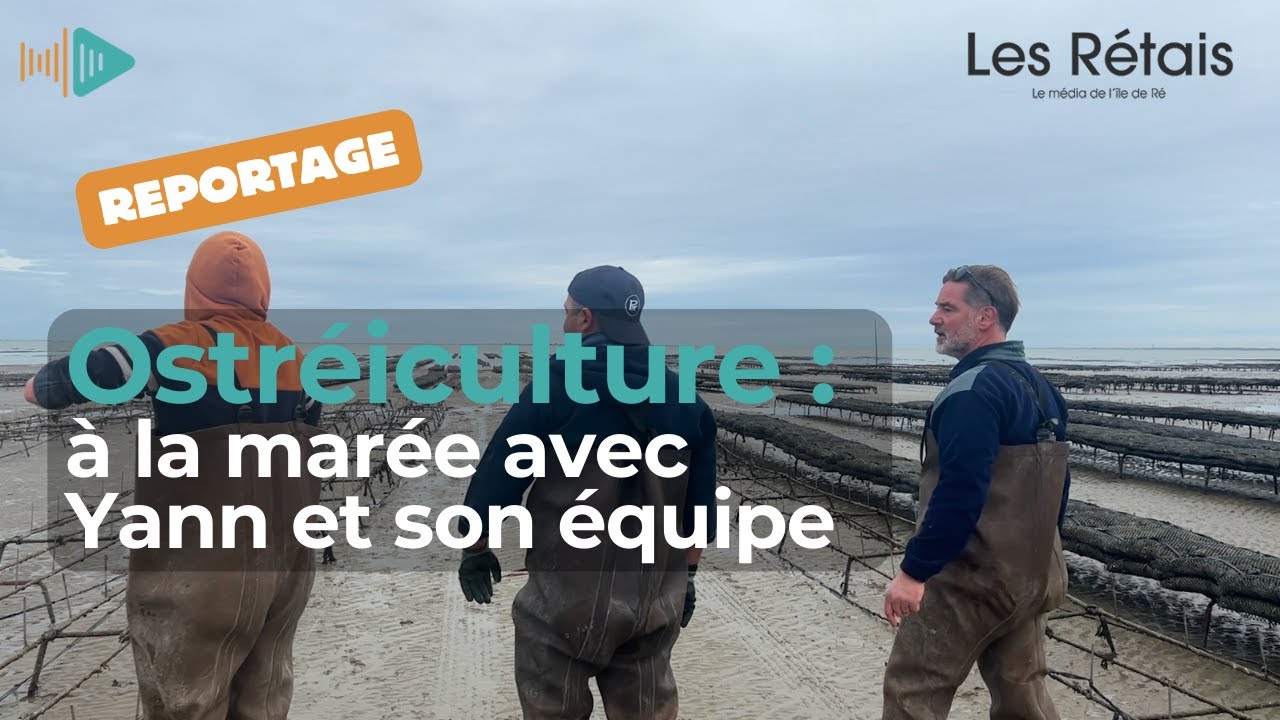 Ostréiculture : à la marée avec Yann et son équipe
