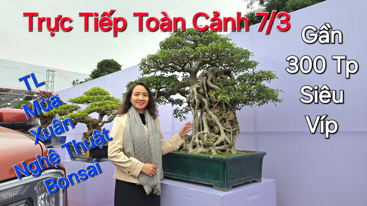 TRỰC TIẾP TOÀN CẢNH 7/3 ! Triển lãm MÙA XUÂN NGHỆ THUẬT Bonsai * CHƯA KHI NÀO NHIỀU TP QUÝ ĐẾN THẾ !