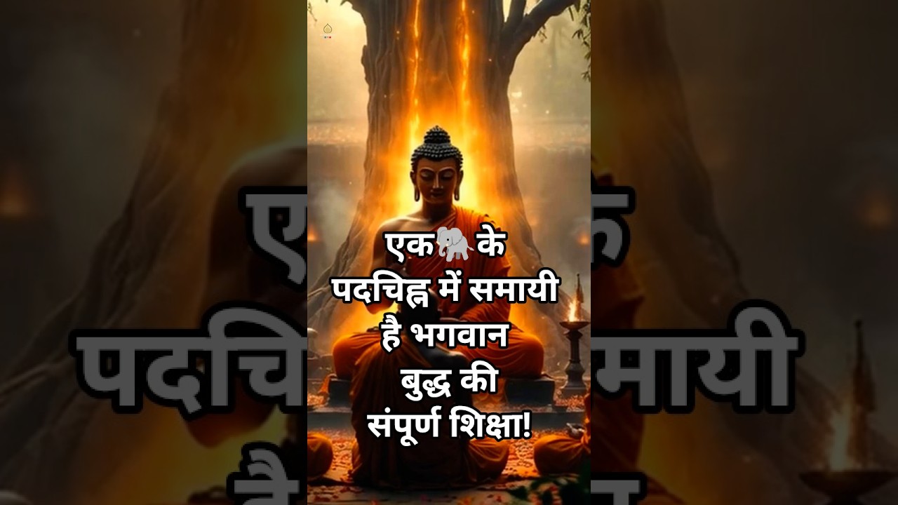बुद्ध ने कहा &mdash; हाथी 🐘 के पदचिह्न जैसी है यह शिक्षा | 4 Noble truths | #buddha #facts #viral