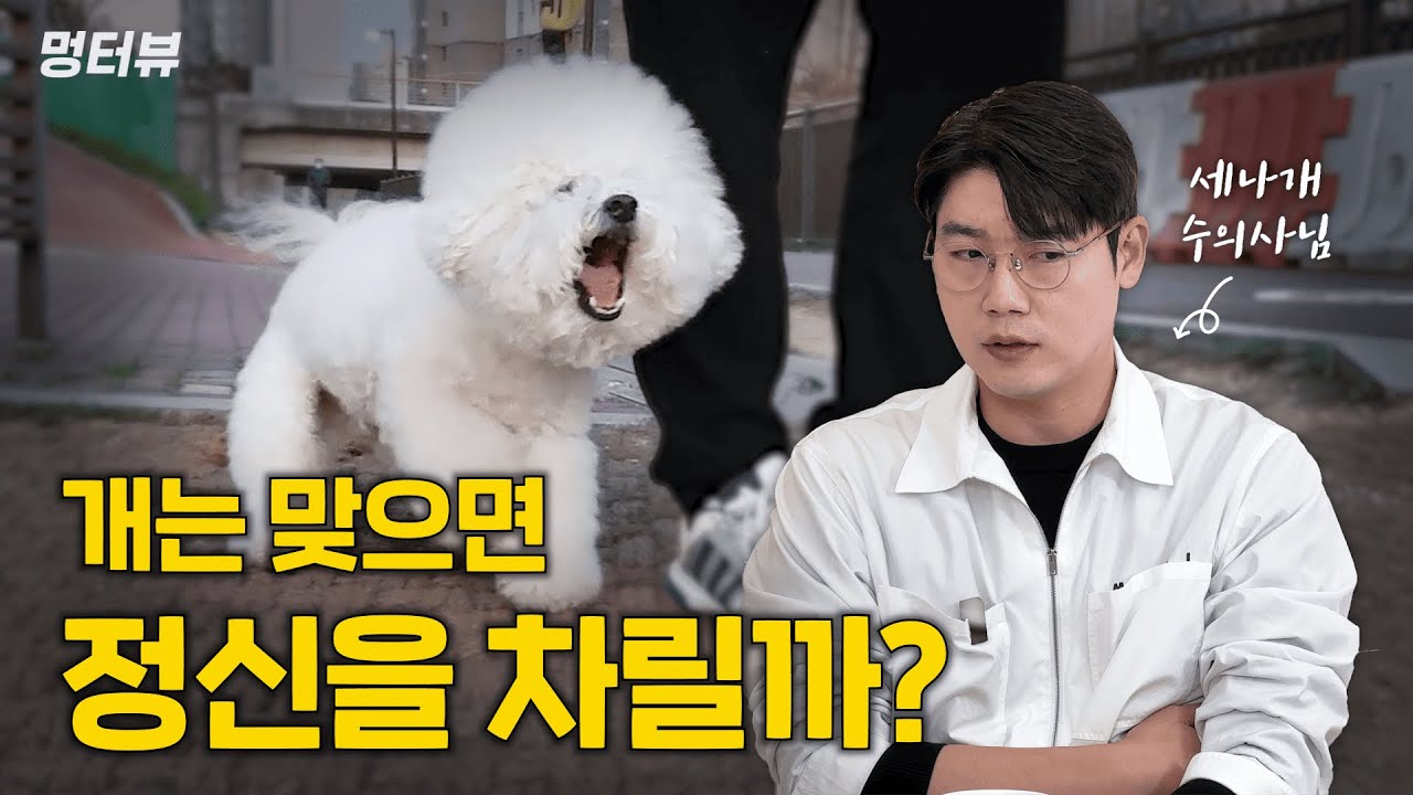 개는 맞으면 정신 차린다는데 진짠가요? 강아지가 말 안 듣는 놀라운 이유ㄷㄷㅣ멍터뷰ep.9