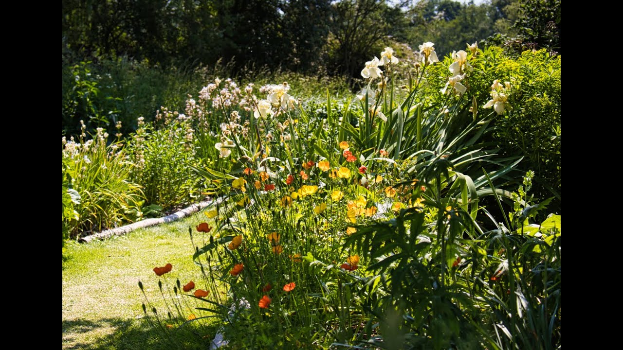 Fullers Mill Garden, one of the most beautiful gardens you will ever see (subtitles).