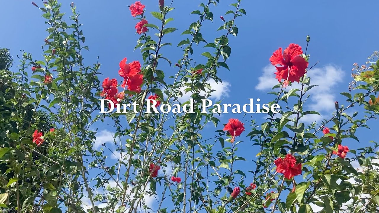 Kevin Farge - Dirt Road Paradise (Official Music Video)