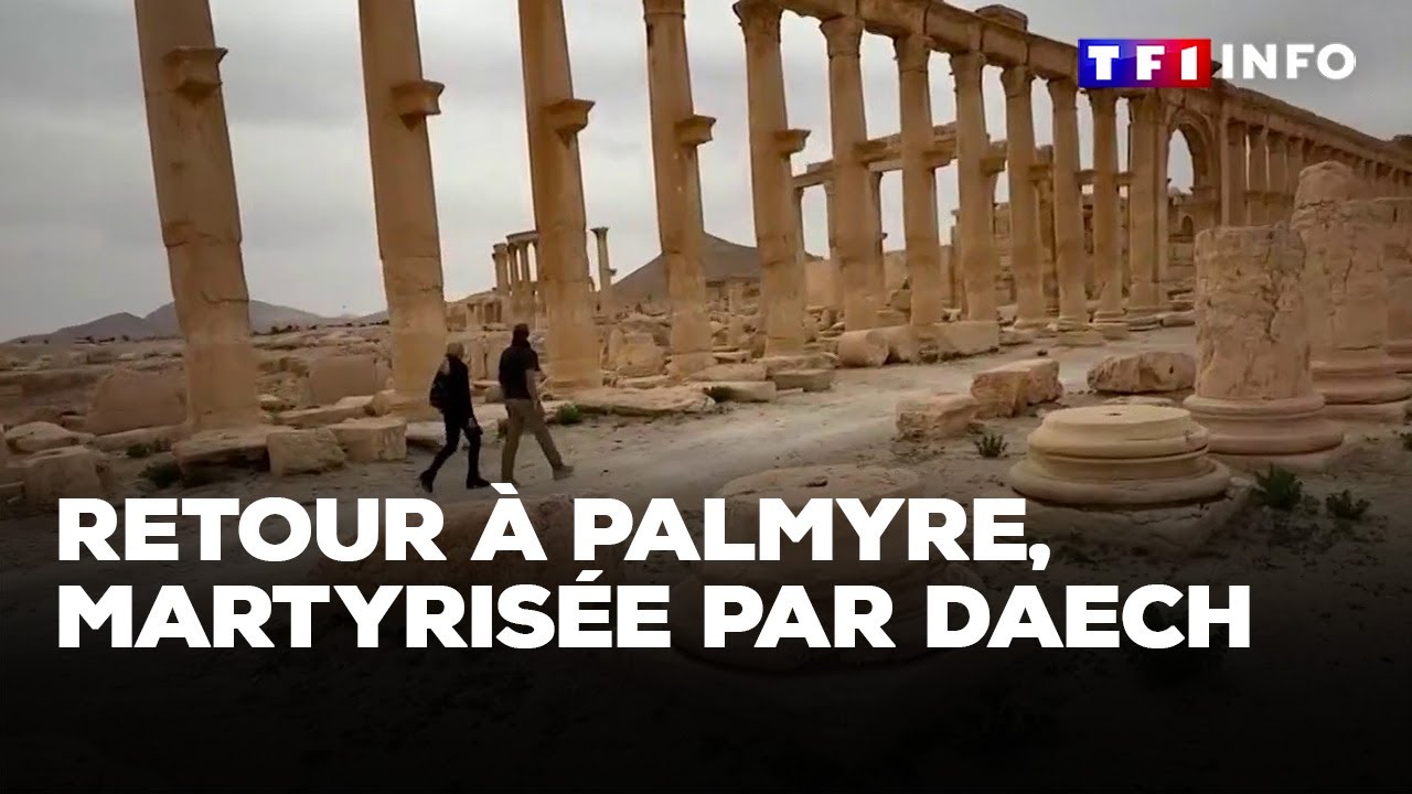 Retour à Palmyre, la cité antique martyrisée par Daech｜TF1 INFO