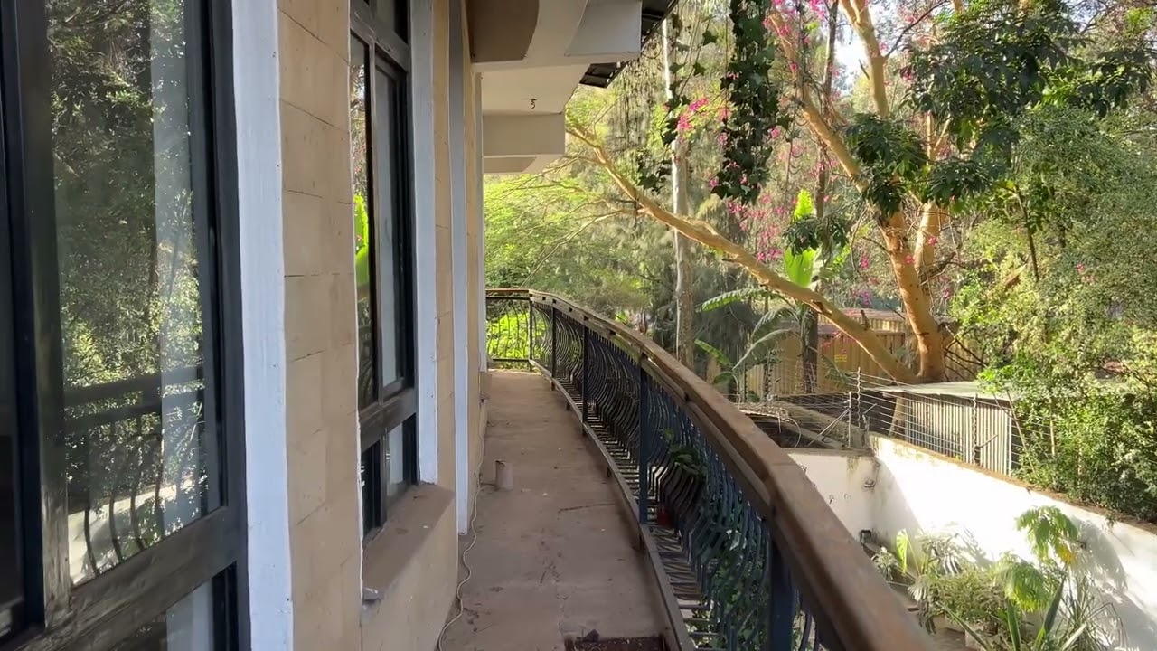 IMG 7102