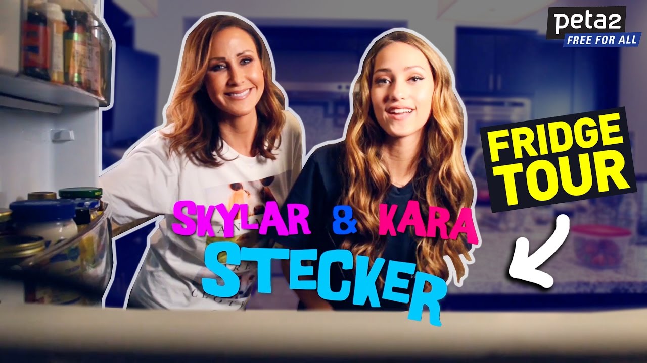 Skylar Stecker's Fridge Tour!