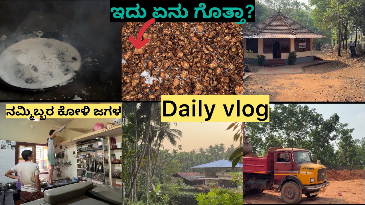 Daily vlog| ನಮ್ಮಿಬ್ಬರ ಕೋಳಿ ಜಗಳ| ಈ ವೀಡಿಯೋದಲ್ಲಿ ಇರುವುದು ಏನು ಗೊತ್ತುಂಟಾ