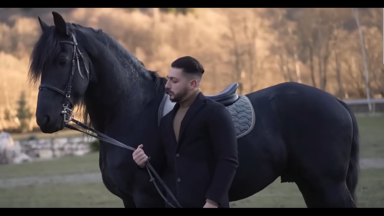 💫 Toni de la Brasov 💫 Calule 💫