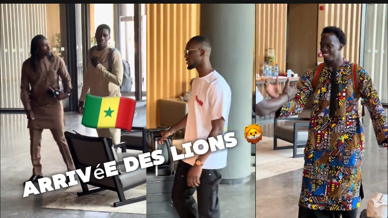 Arrivée des Lions 🦁 avec le nouveau Joueur Chérif Ndiaye