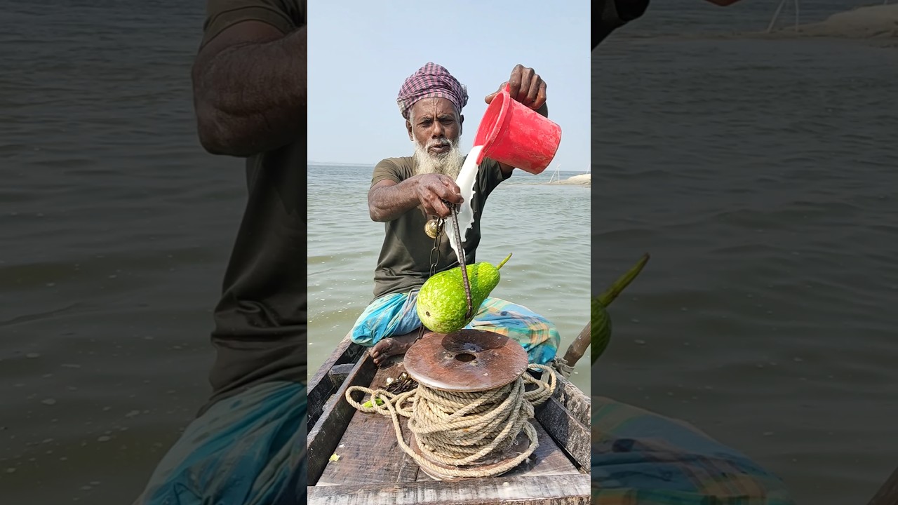 Fishing skill for catching giant catfish 9 #fishing #reels