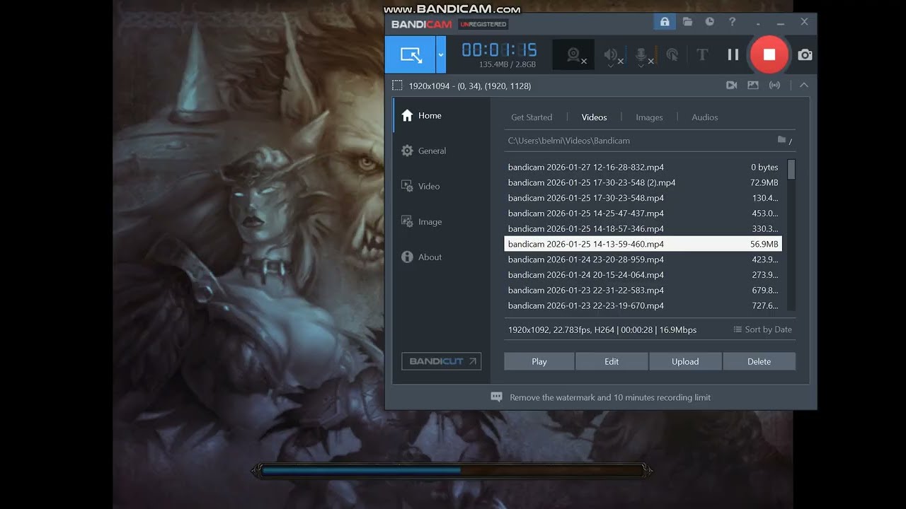 Ganking horde Tanaris Classic Wow